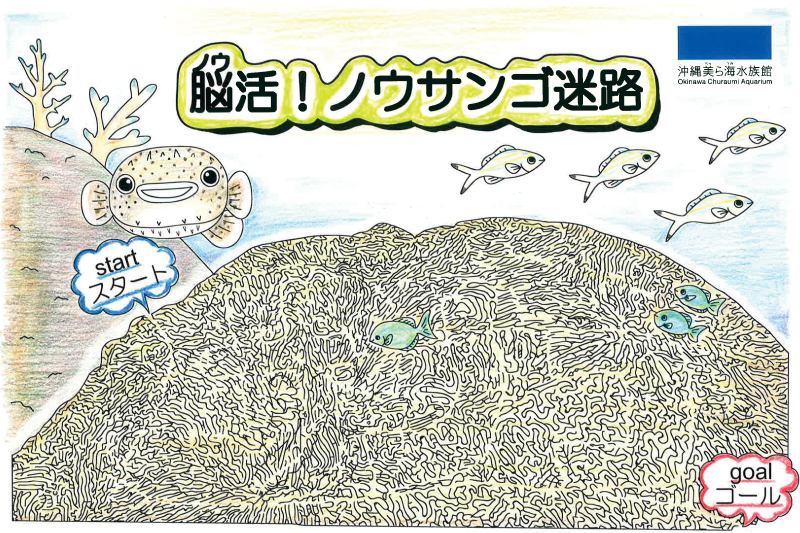 脳活！ノウサンゴ迷路