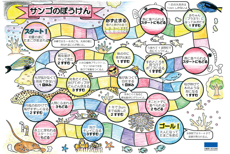 サンゴのぼうけん
