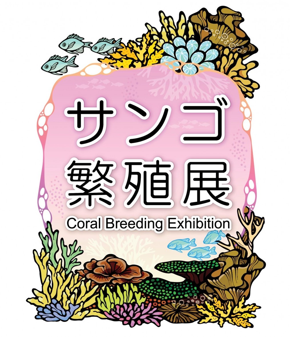 「サンゴ繁殖展2026」開催　～世界唯一の展示も! 神秘の生態まるわかり～