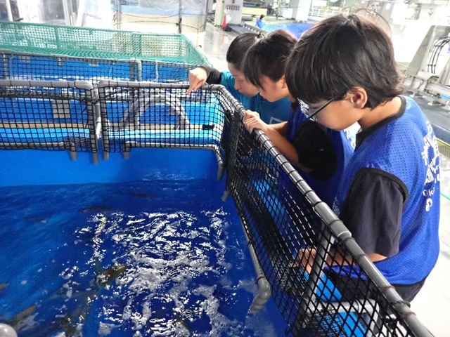 美ら海こども飼育体験