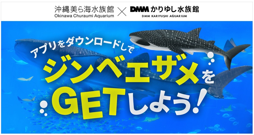 アプリでスタンプラリー Dmmかりゆし水族館 との相互キャンペーンを開催 お知らせ 沖縄美ら海水族館 沖縄の美ら海を 次の世代へ