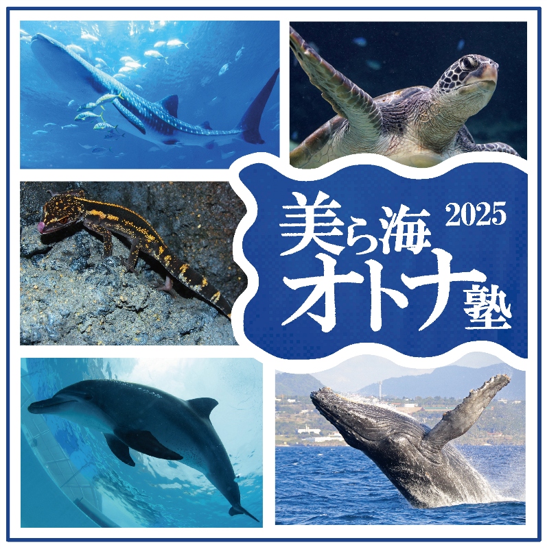 美ら海オトナ塾