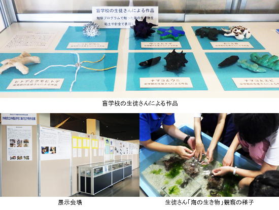 冬休み特別企画 沖縄県立沖縄盲学校 海の生き物作品展 開催!