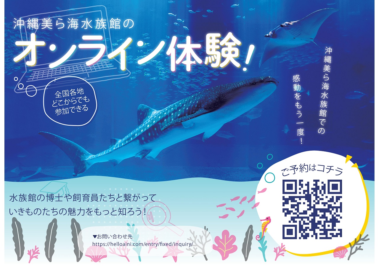 沖縄美ら海水族館をオンラインでも楽しもう♪の画像