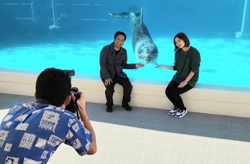 Let us take a memorable photo of you with a dolphin!