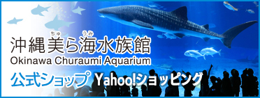 沖縄美ら海水族館公式ショップ
