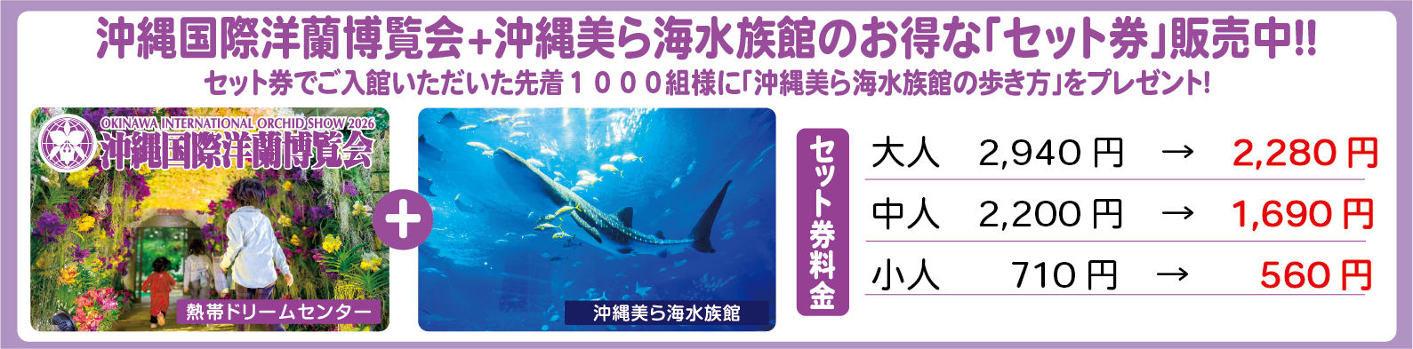 Webチケット販売中